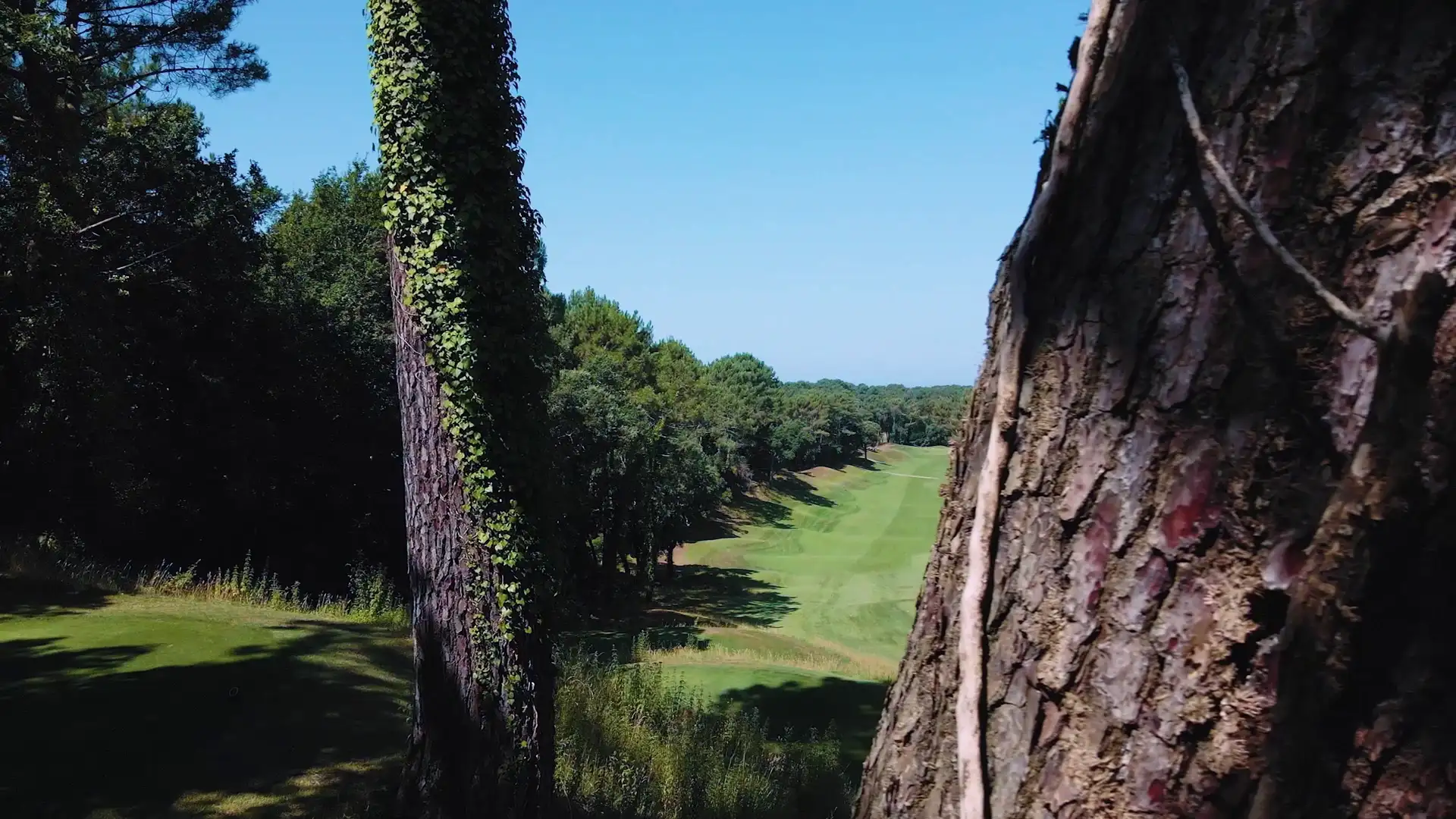 Traveling départ du trou 13 golf de Seignosse